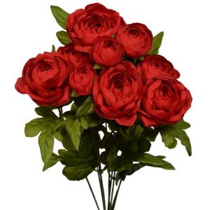 Ranunculus Bush x9, 18.5