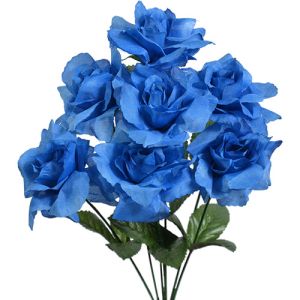 Value Rose Bush x7, 15