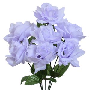 Value Rose Bush x7, 15