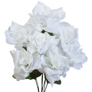 Value Rose Bush x7, 15