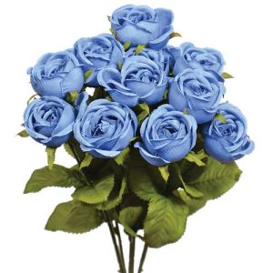 Mini Cabbage Rose Bush x7, 15' - Blue Jeans