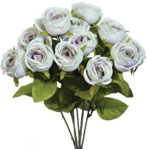 Mini Cabbage Rose Bush x7, 15