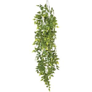 Hanging Ruscus Bush x3, 36