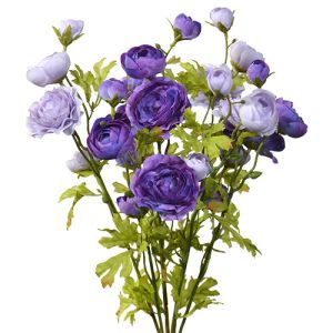 Ranunculus Bush x7, 18