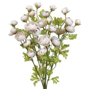 Mini Ranunculus Bush x7, 18