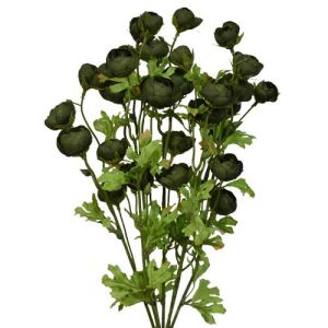 Mini Ranunculus Bush x7, 18