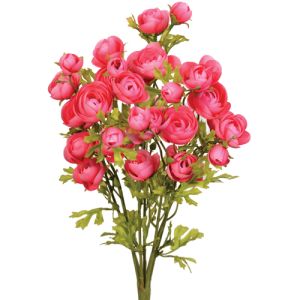 Mini Ranunculus Bush x7, 18