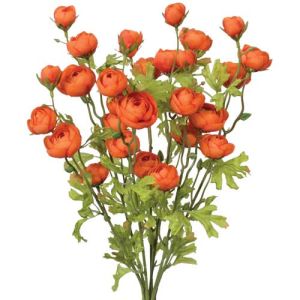 Mini Ranunculus Bush x7, 18