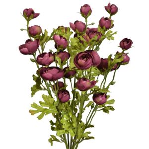 Mini Ranunculus Bush x7, 18