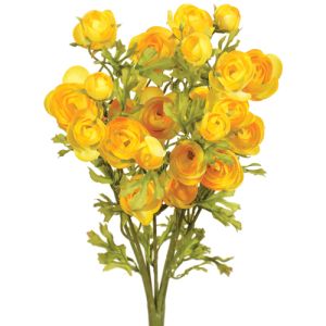 Mini Ranunculus Bush 18 Inches in Yellow - Small Image