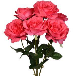 Rose Bush x5 (with 7 blooms), 20