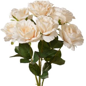 Rose Bush x5 (with 7 blooms) 20