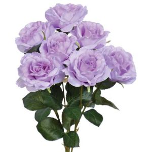 Rose Bush x5 (with 7 blooms), 20