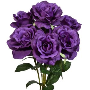 Rose Bush x5 (with 7 blooms), 20