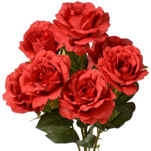 Rose Bush x5 (with 7 blooms) 20