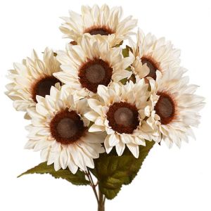 Sunflower Bush x7, 17