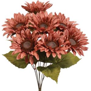 Sunflower Bush x7, 17