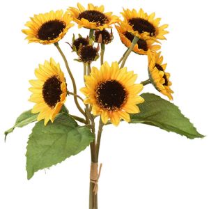 Mini Sunflower Bundle x3, 12