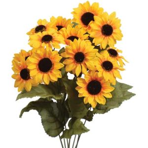 Mini Sunflower Bush x7, 18