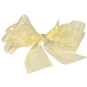 #9 Sheer Organza Ribbon 1.5