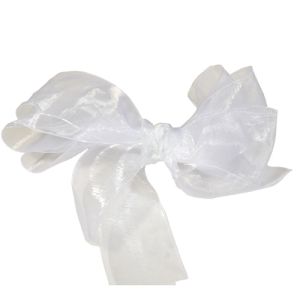 #9 Sheer Organza Ribbon 1.5