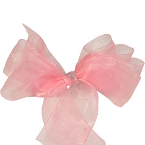 #9 Sheer Organza Ribbon 1.5