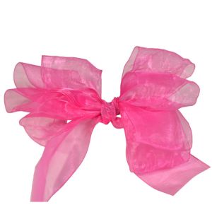 #9 Sheer Organza Ribbon 1.5