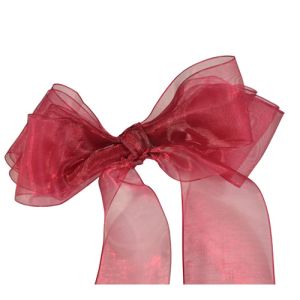 #9 Sheer Organza Ribbon 1.5