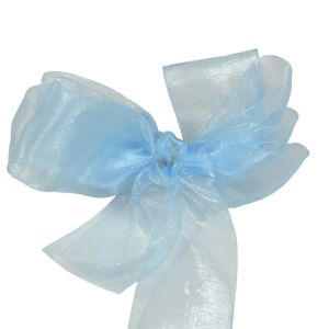 #3 Sheer Organza Ribbon 5/8
