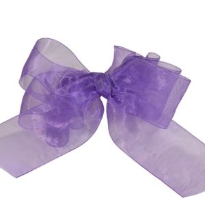 #3 Sheer Organza Ribbon 5/8