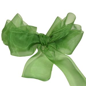 #9 Sheer Organza Ribbon 1.5