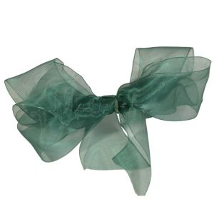 #9 Sheer Organza Ribbon 1.5