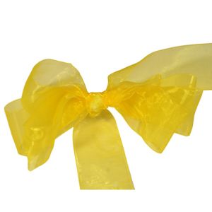#9 Sheer Organza Ribbon 1.5