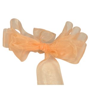 #3 Sheer Organza Ribbon 5/8