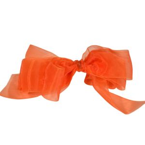 #9 Sheer Organza Ribbon 1.5