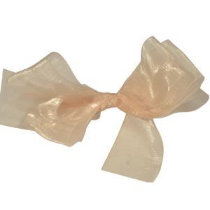 #9 Sheer Organza Ribbon 1.5