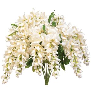 Hanging Wisteria Bush x9, 19