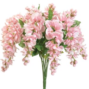 Hanging Wisteria Bush x9, 19