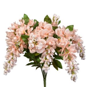 Hanging Wisteria Bush x9, 19