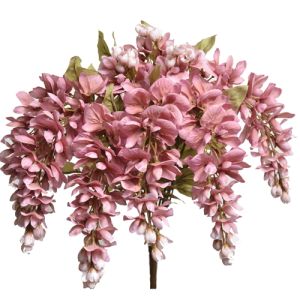 Hanging Wisteria Bush x9, 19