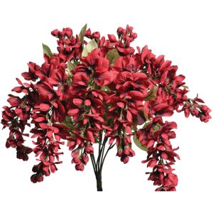 Hanging Wisteria Bush x9, 19