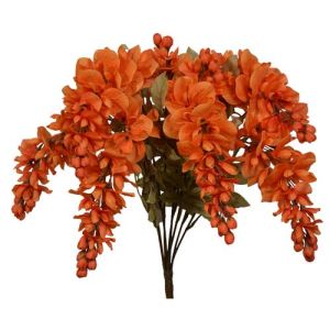 Hanging Wisteria Bush x9, 19