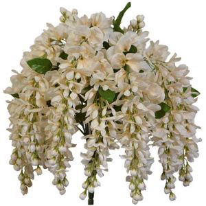 Large Hanging Wisteria Bush x13, 25
