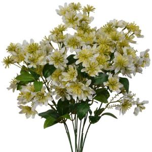 Wildflower Bush x9, 18