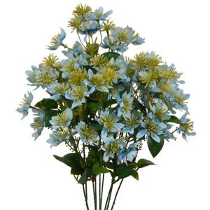 Wildflower Bush x9, 18