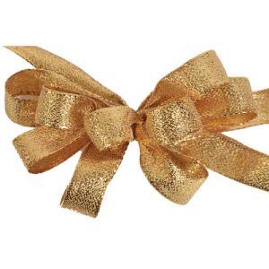 #3 Wired Sarina Ribbon 5/8