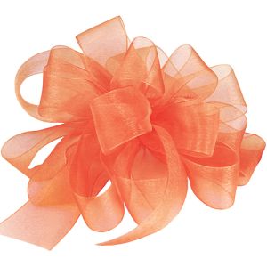 #9 Simply Sheer Ribbon 100 Yards in New Coral, a peach color - Small Image