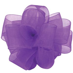 #9 Simply Sheer Ribbon 1.5