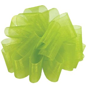 #9 Simply Sheer Ribbon 100 Yards in Kiwi, a green color - Small Image