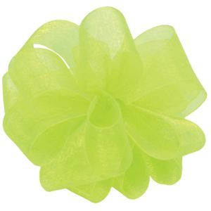 #9 Simply Sheer Ribbon 100 Yards in Citrus, a green color - Small Image